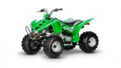 2009 Diamo Lightning 110 photo